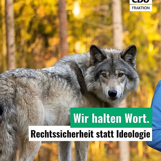 @cdulandtagsfraktionsachsen