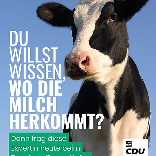 @cdulandtagsfraktionsachsen