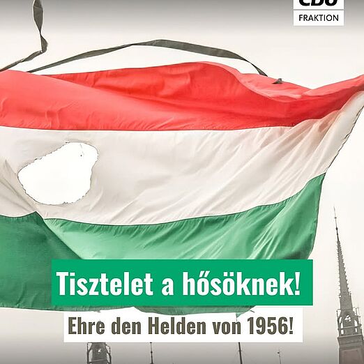 @cdulandtagsfraktionsachsen